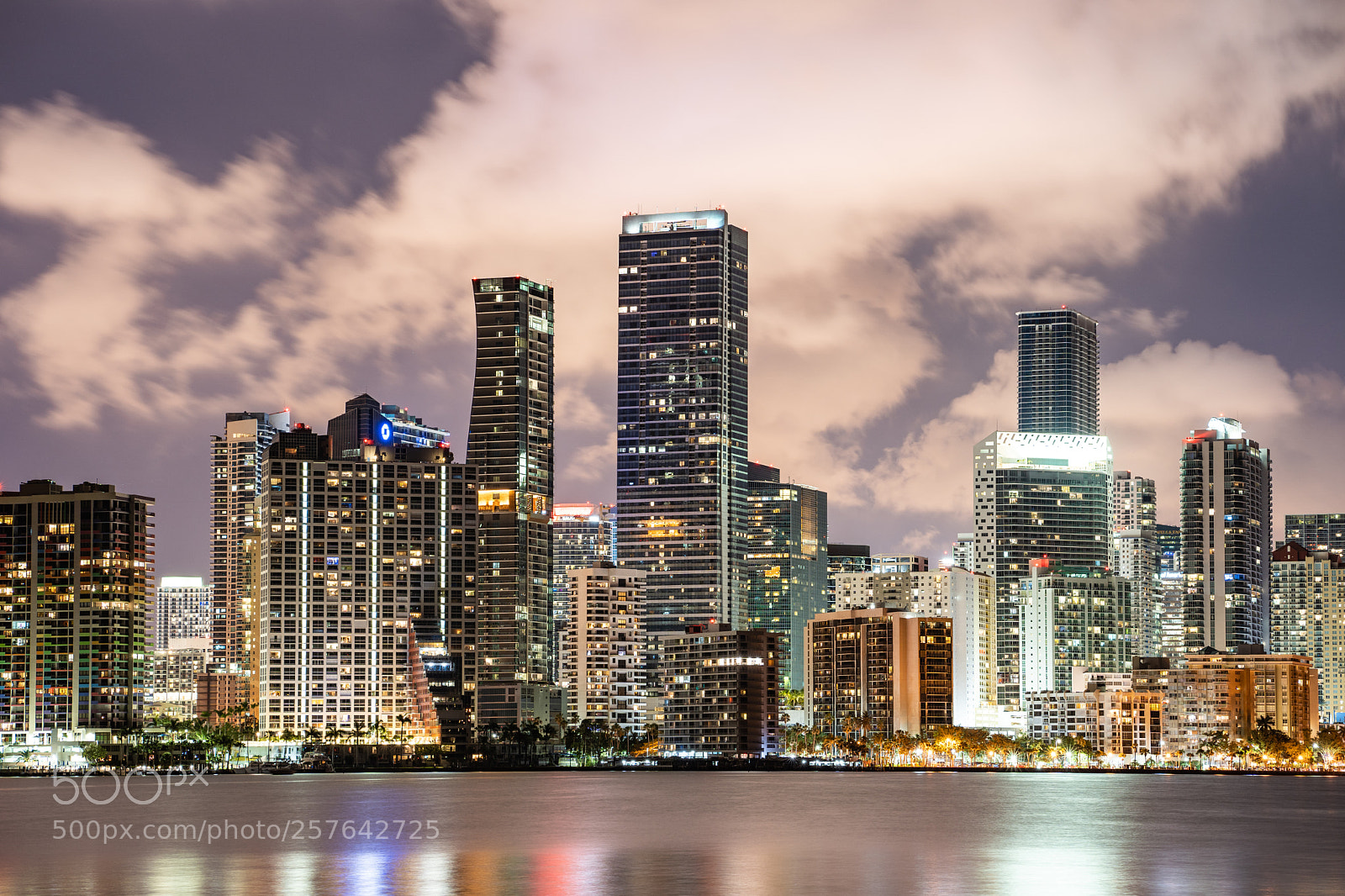 Sony a7 III sample photo. A night in miami photography