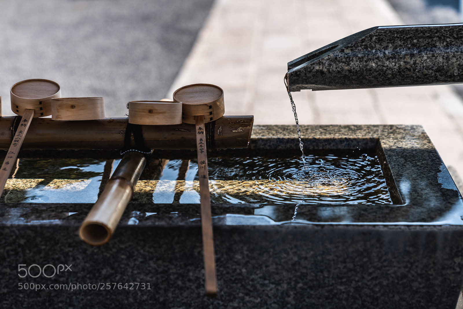 Sony a7R III sample photo. Chōzuya photography