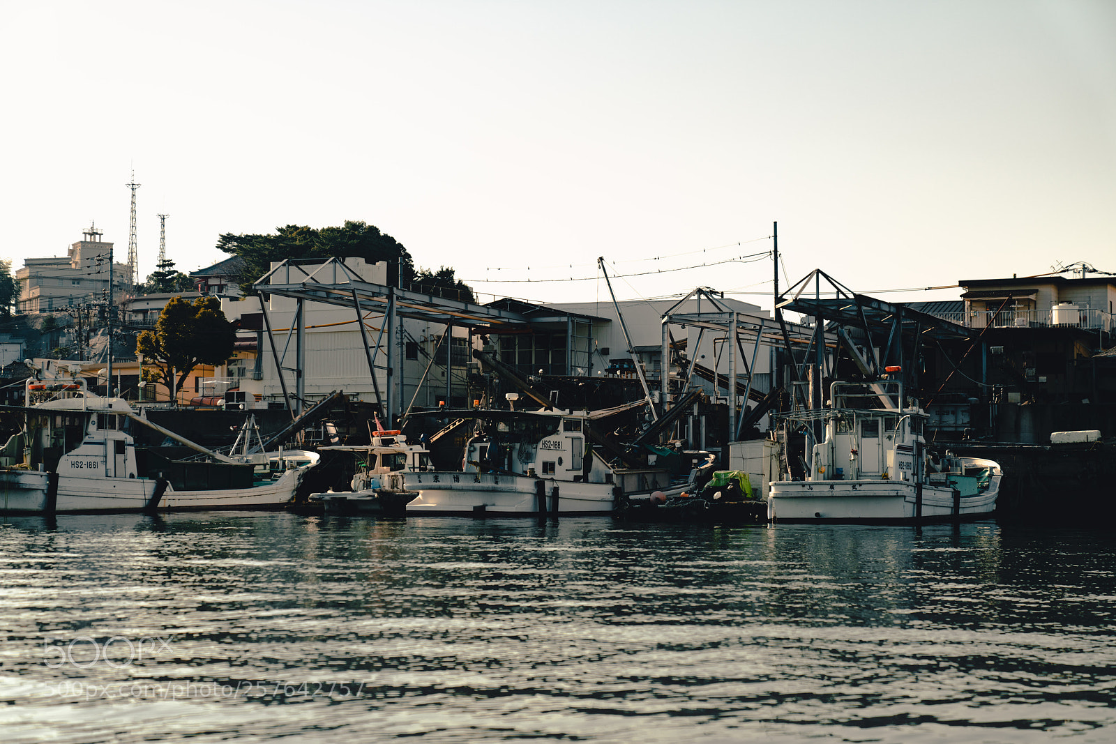 Sony a7R III sample photo. Tuna boatds photography