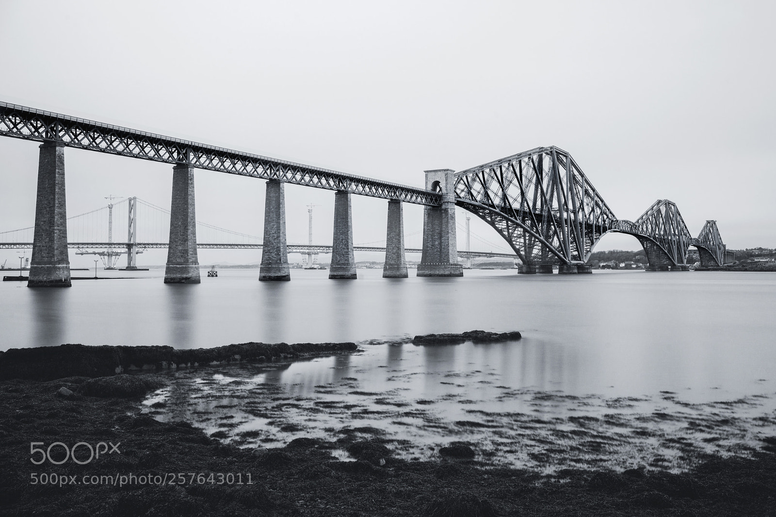 Nikon D800 sample photo. Forth bridge photography