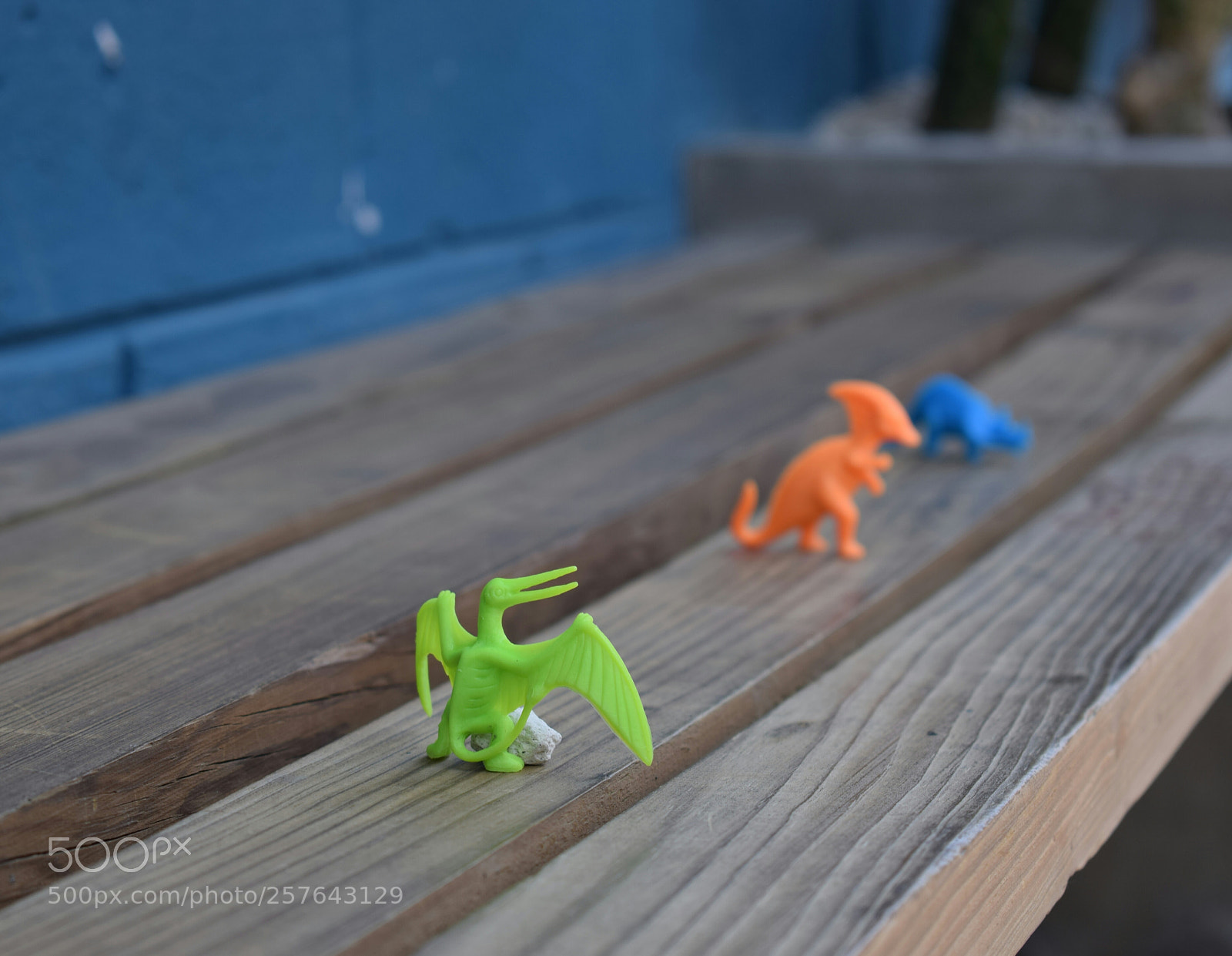 Nikon D5300 sample photo. Profundidad de campo photography