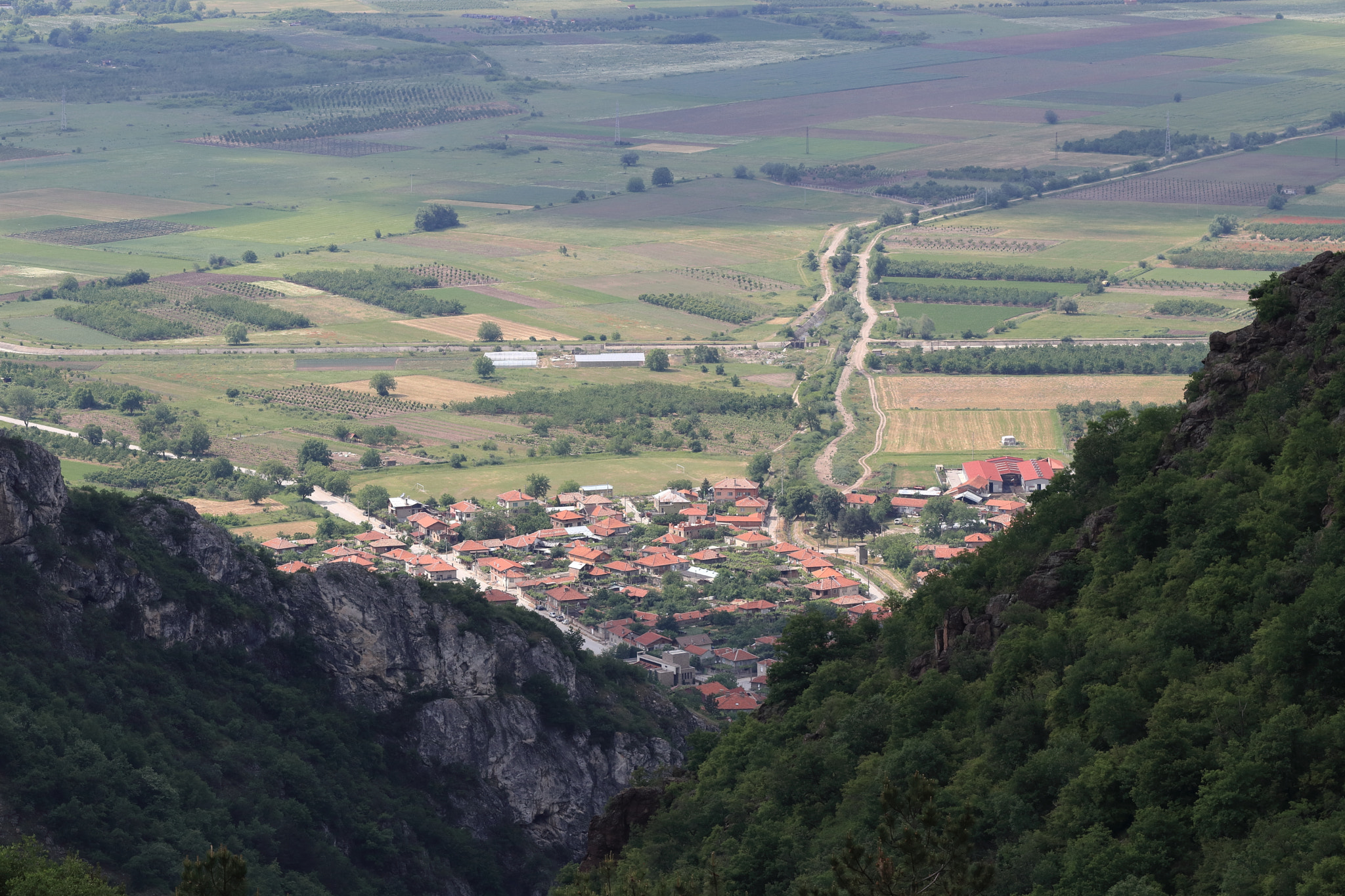 Canon EF 100mm F2.8 Macro USM sample photo. Rhodope mountain bulgaria photography