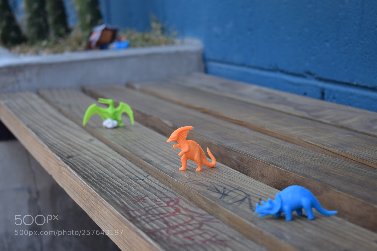 Nikon D5300 sample photo. Profundidad de campo photography