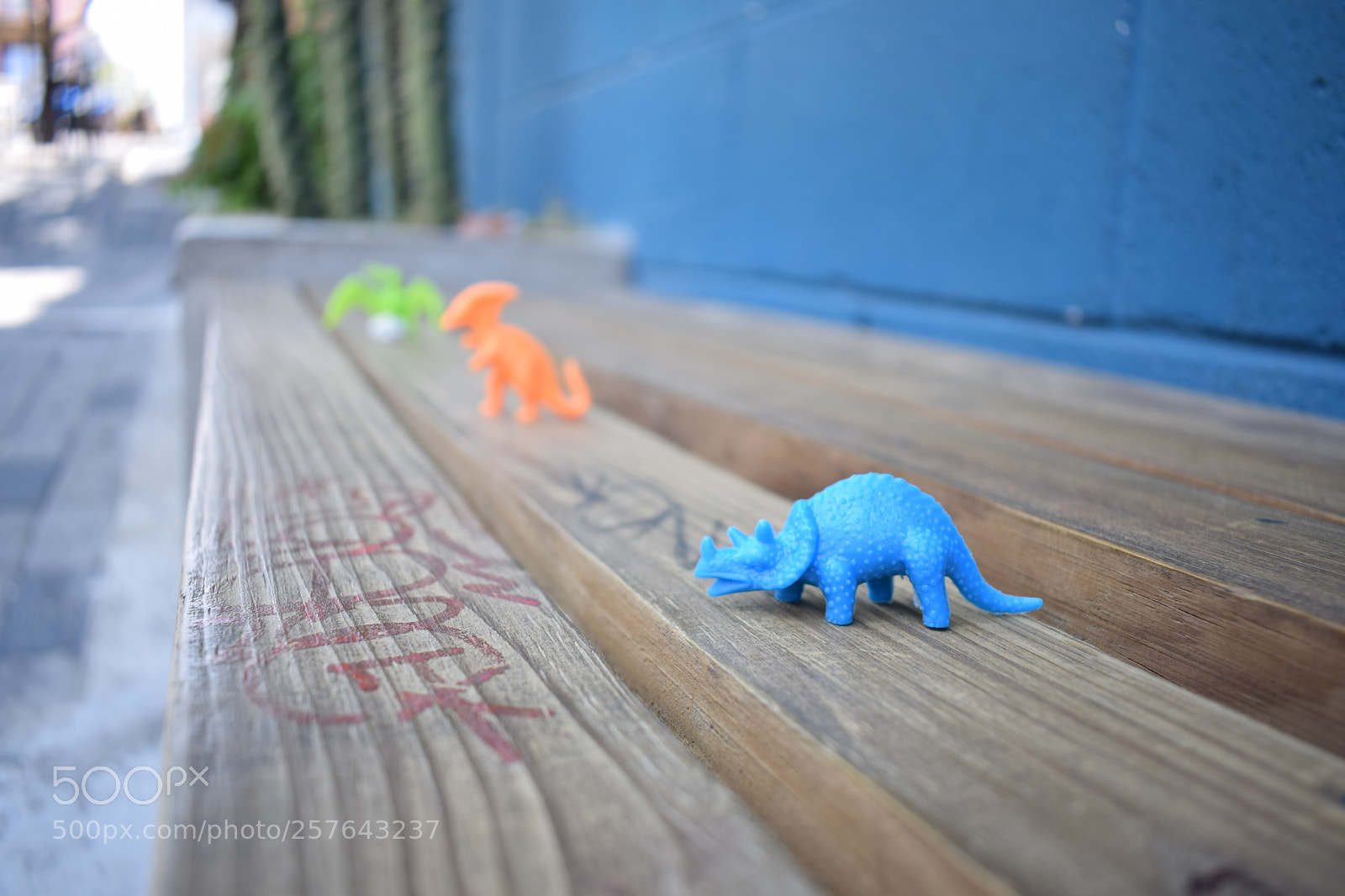 Nikon D5300 sample photo. Profundidad de campo photography