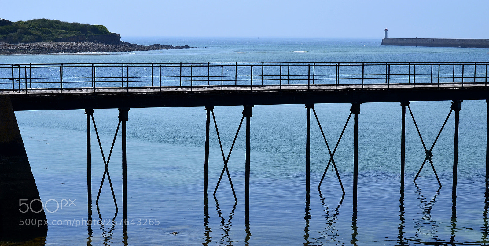 Nikon D5100 sample photo. Xxxx photography