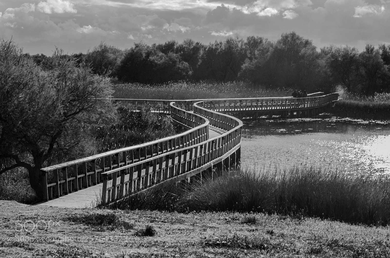 Nikon D5100 sample photo. Tablas de daimiel photography