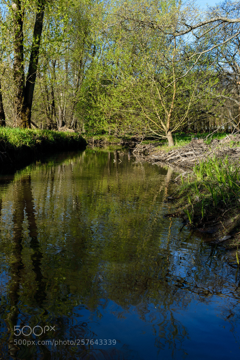 Nikon D3400 sample photo. Stream photography