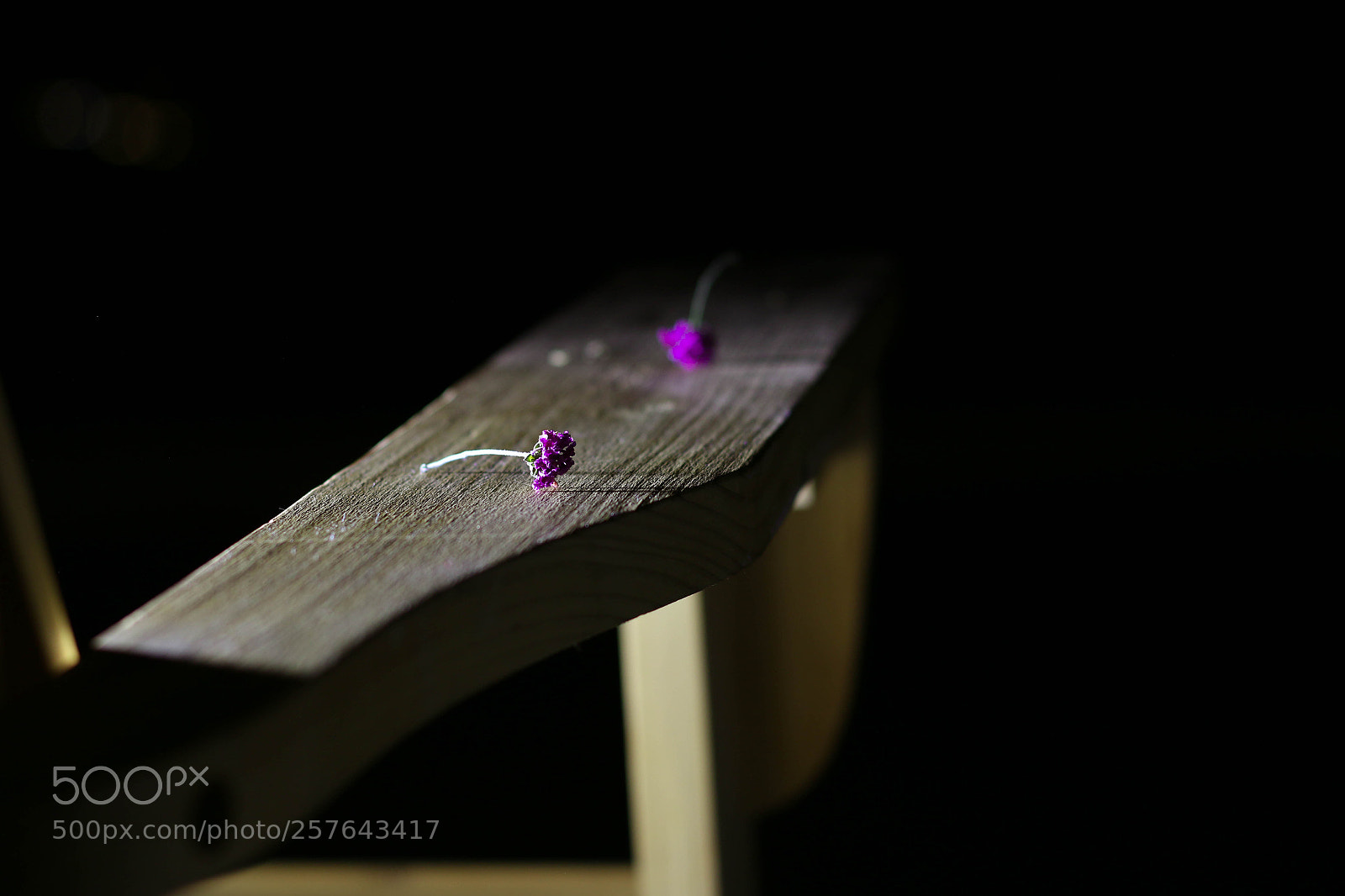 Canon EOS 70D sample photo. Untitled photography