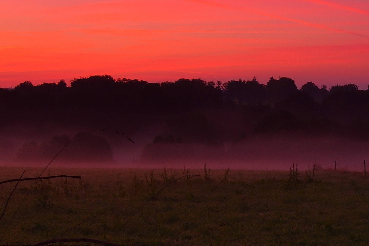 Nikon D5300 sample photo. Sunrise in corrèze photography