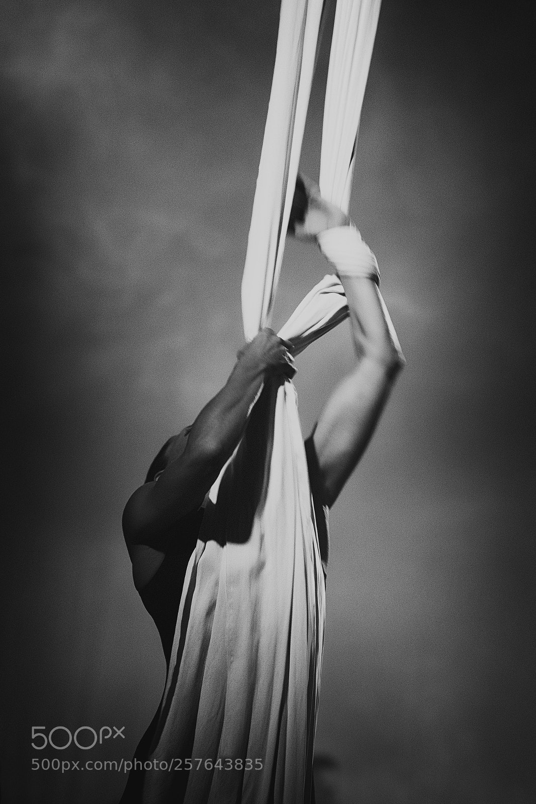 Nikon D600 sample photo. Angel photography