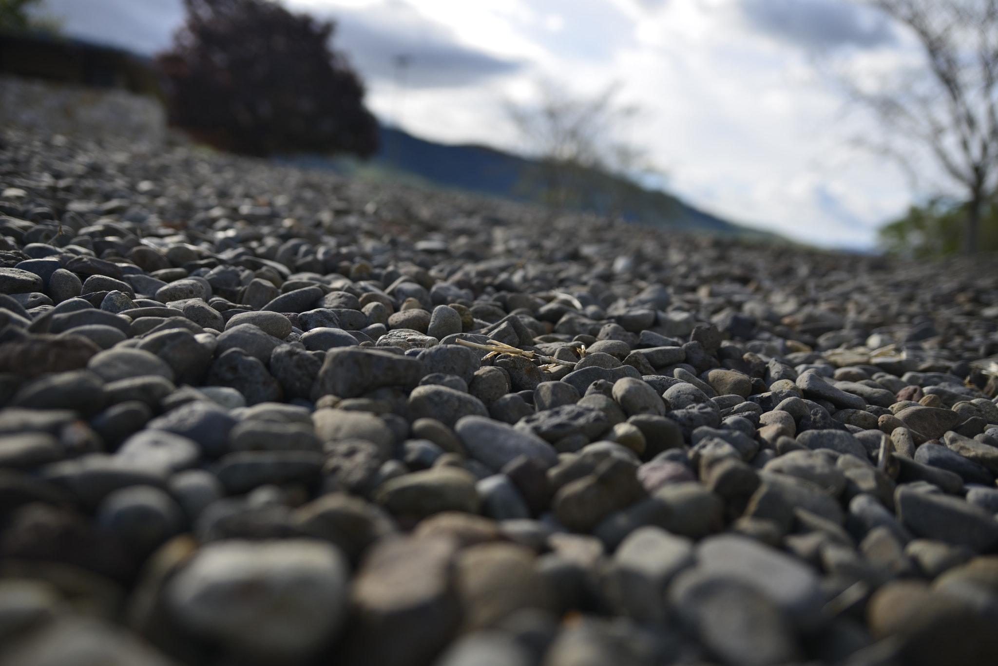 Nikon D800 sample photo. Dry river photography