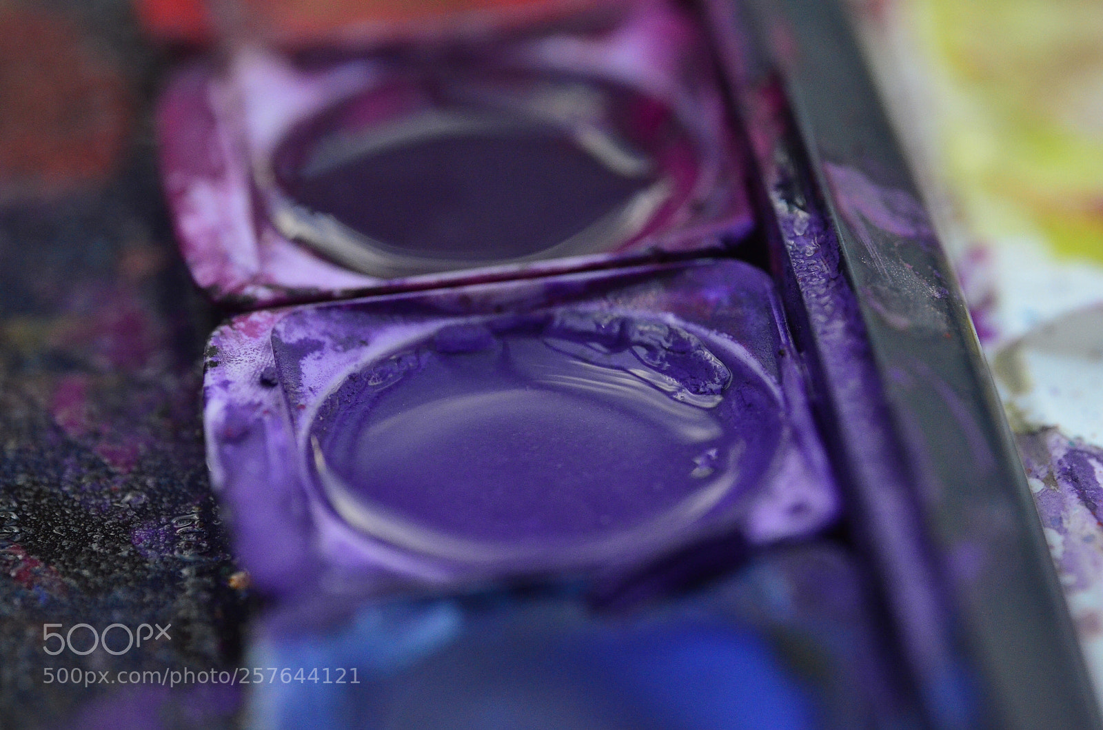 Nikon D5100 sample photo. Untitled photography