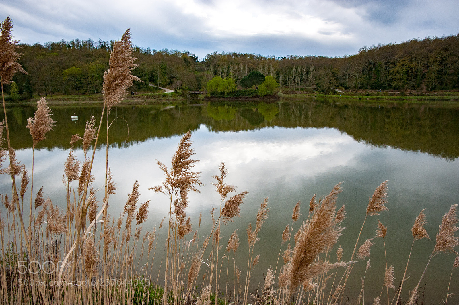Nikon D700 sample photo. Oasi spondone photography