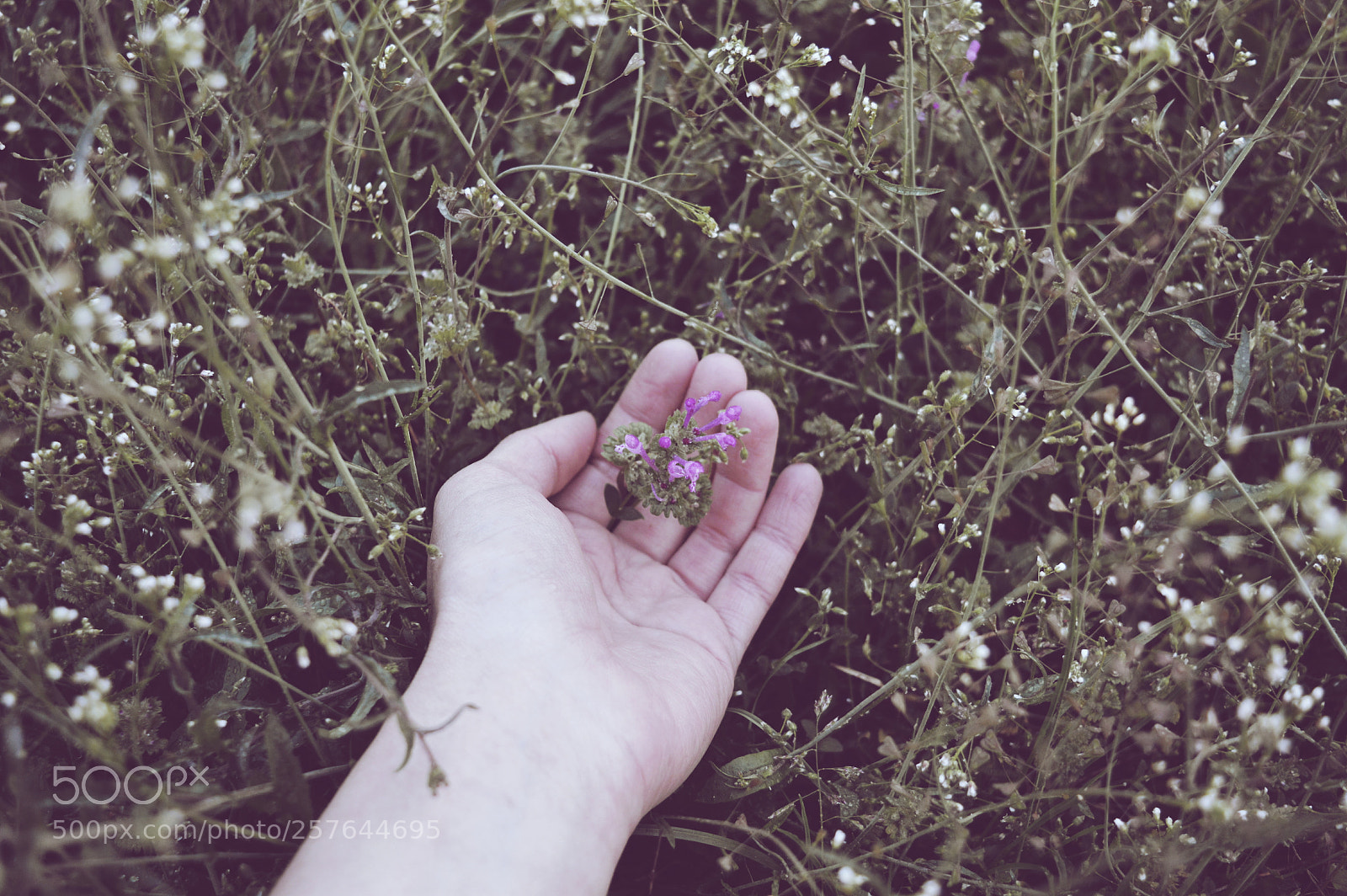 Nikon D3200 sample photo. Untitled photography