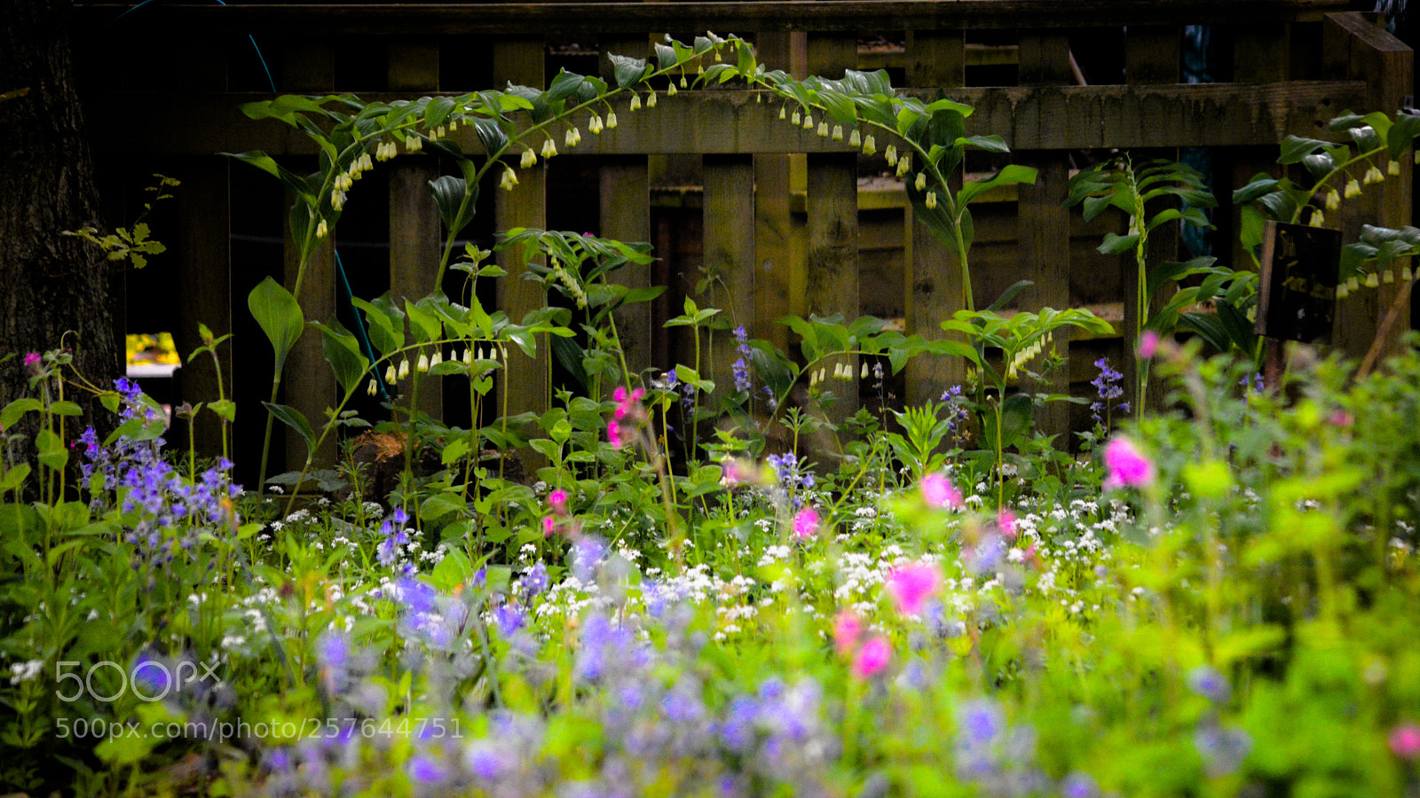 Nikon D3200 sample photo. Kingsbury wildlife garden photography