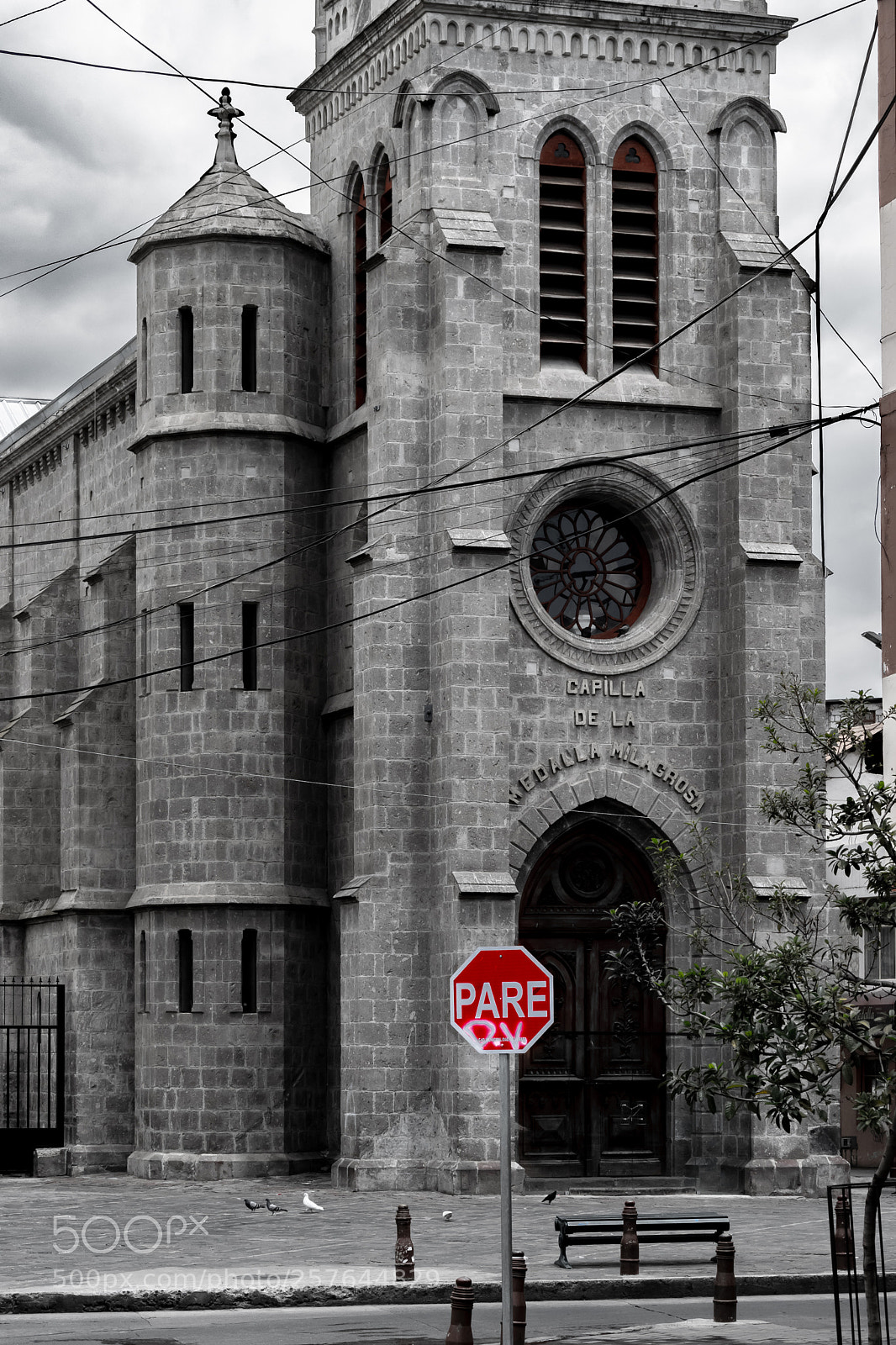 Nikon D3300 sample photo. ¡pare! photography