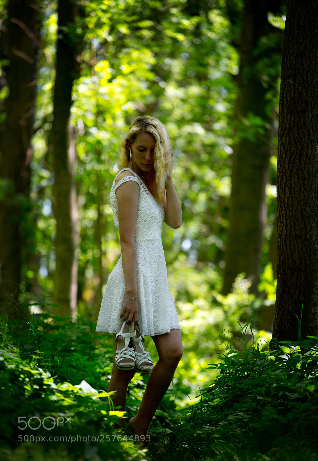Canon EOS-1D X sample photo. Hasselroth photography