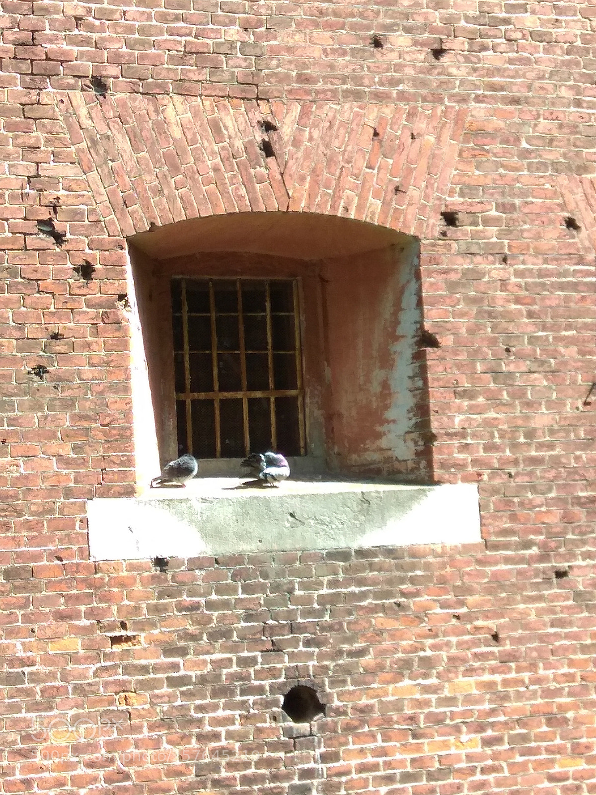 Xiaomi Redmi Note 4 sample photo. Lviv citadel and birds photography