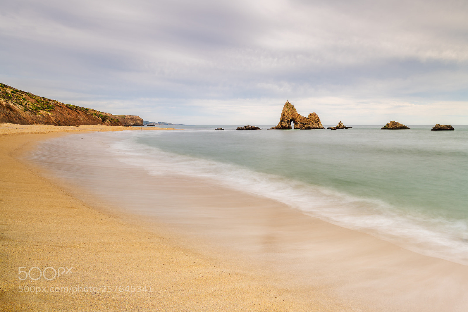 Nikon D850 sample photo. Martin's beach, ca photography