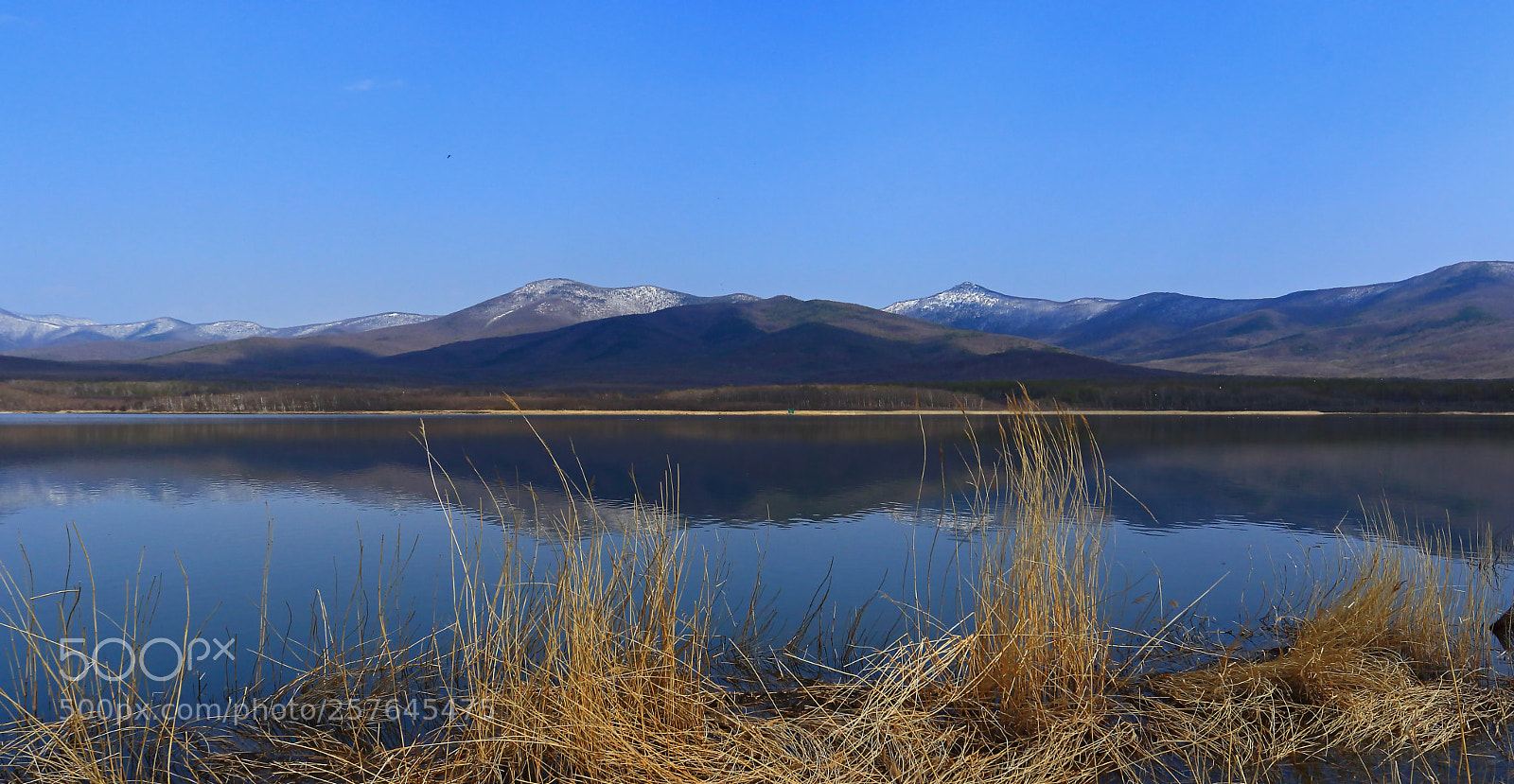Canon EOS 7D Mark II sample photo. Morning calmness photography