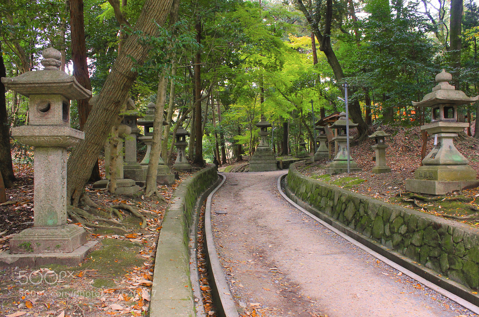 Canon EOS 550D (EOS Rebel T2i / EOS Kiss X4) sample photo. Kyoto fushimi inari shrine 4 photography