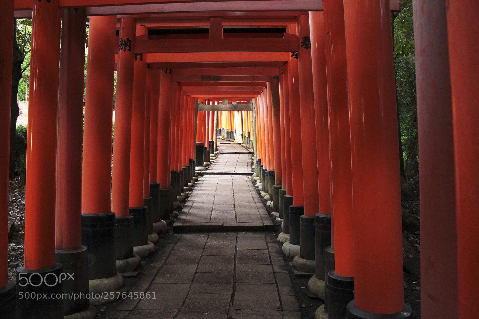 Canon EOS 550D (EOS Rebel T2i / EOS Kiss X4) sample photo. Kyoto fushimi inari shrine 4 photography