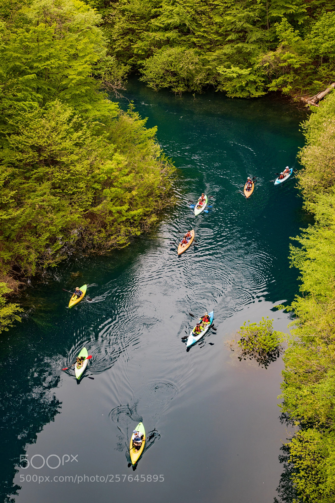 Canon EOS 5D Mark IV sample photo. Kayaks photography