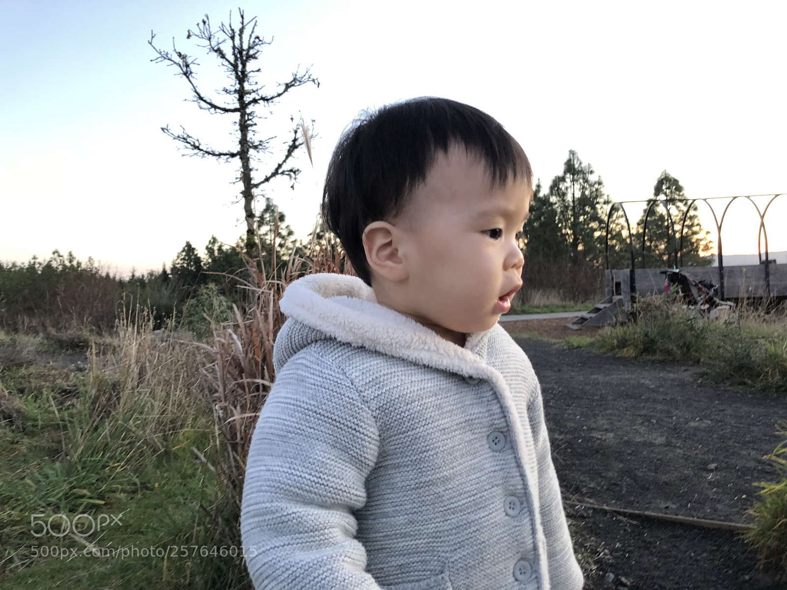 Apple iPhone 8 sample photo. Cooper mtn photography
