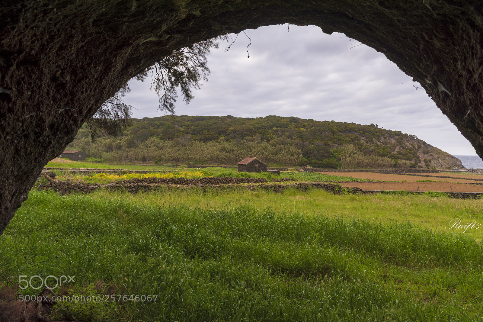 Nikon D5600 sample photo. From the cave. photography