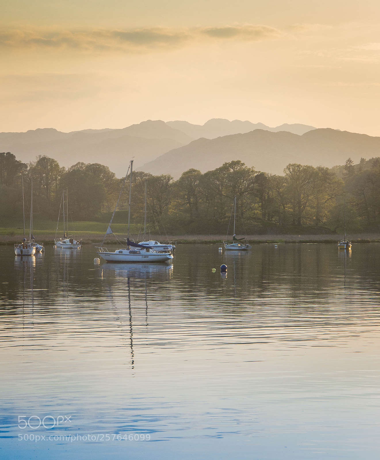 Nikon D3100 sample photo. Waterhead reflection photography