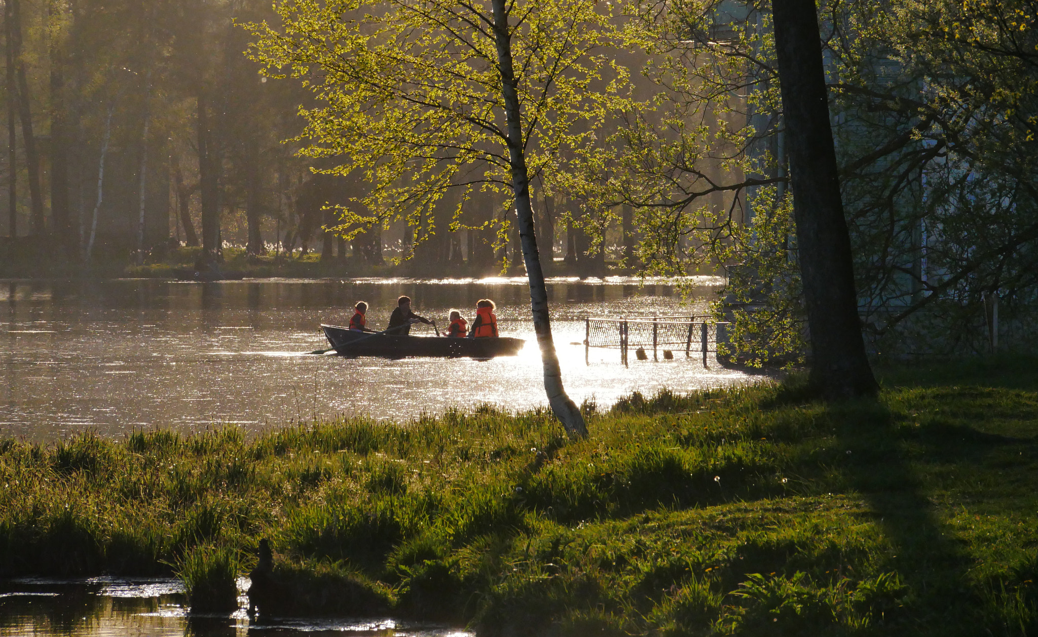 Panasonic Lumix DMC-G85 (Lumix DMC-G80) sample photo. Boating at a park lake photography
