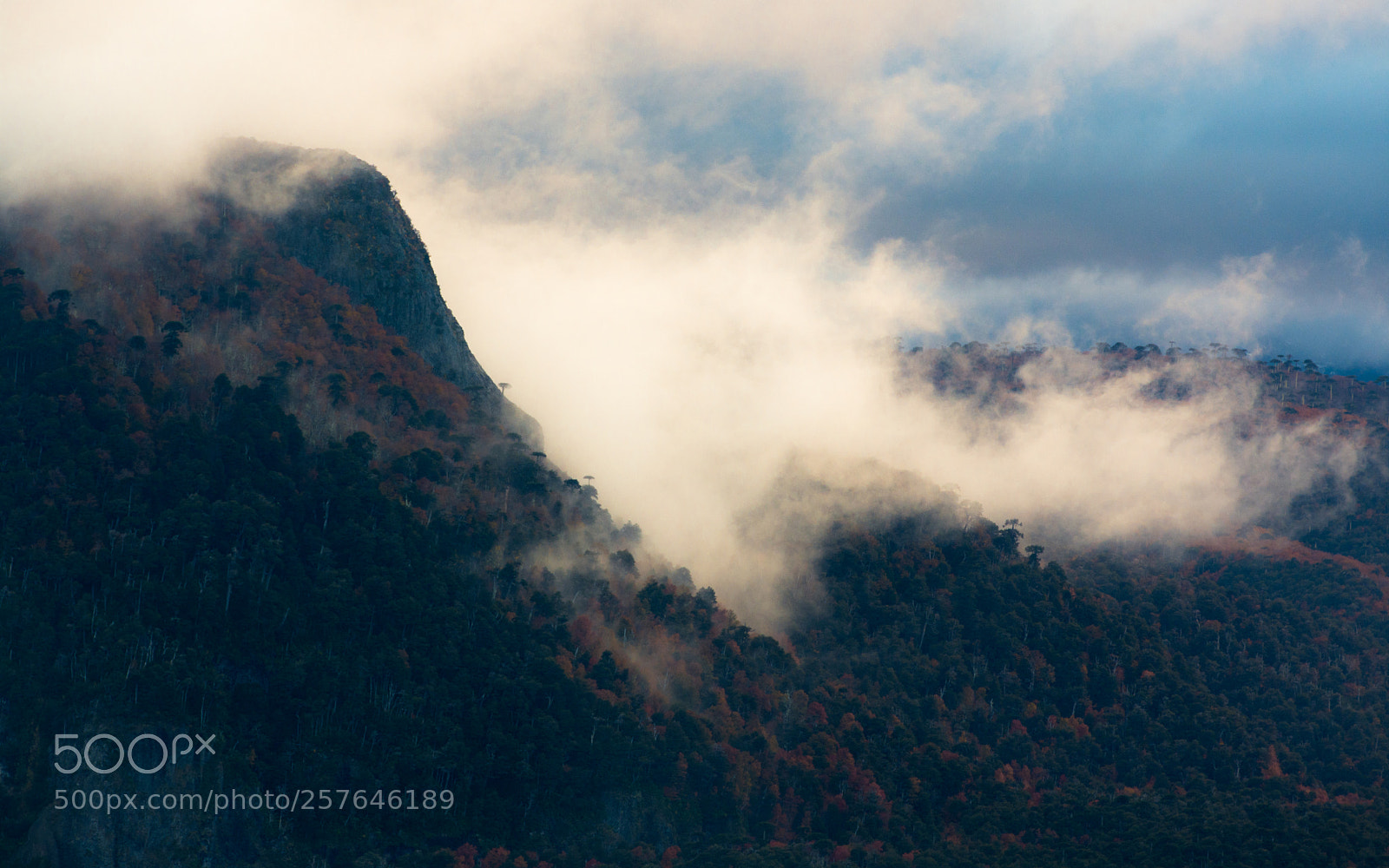 Nikon D7200 sample photo. Cloudy dawn in the photography