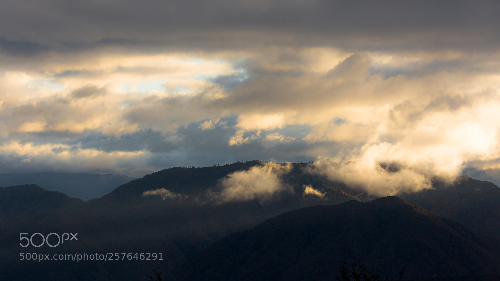Nikon D7200 sample photo. Cloudy dawn in the photography