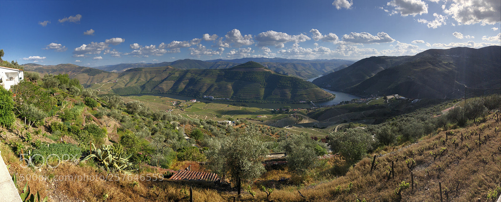 Apple iPhone X sample photo. Alto douro valley wineyards photography