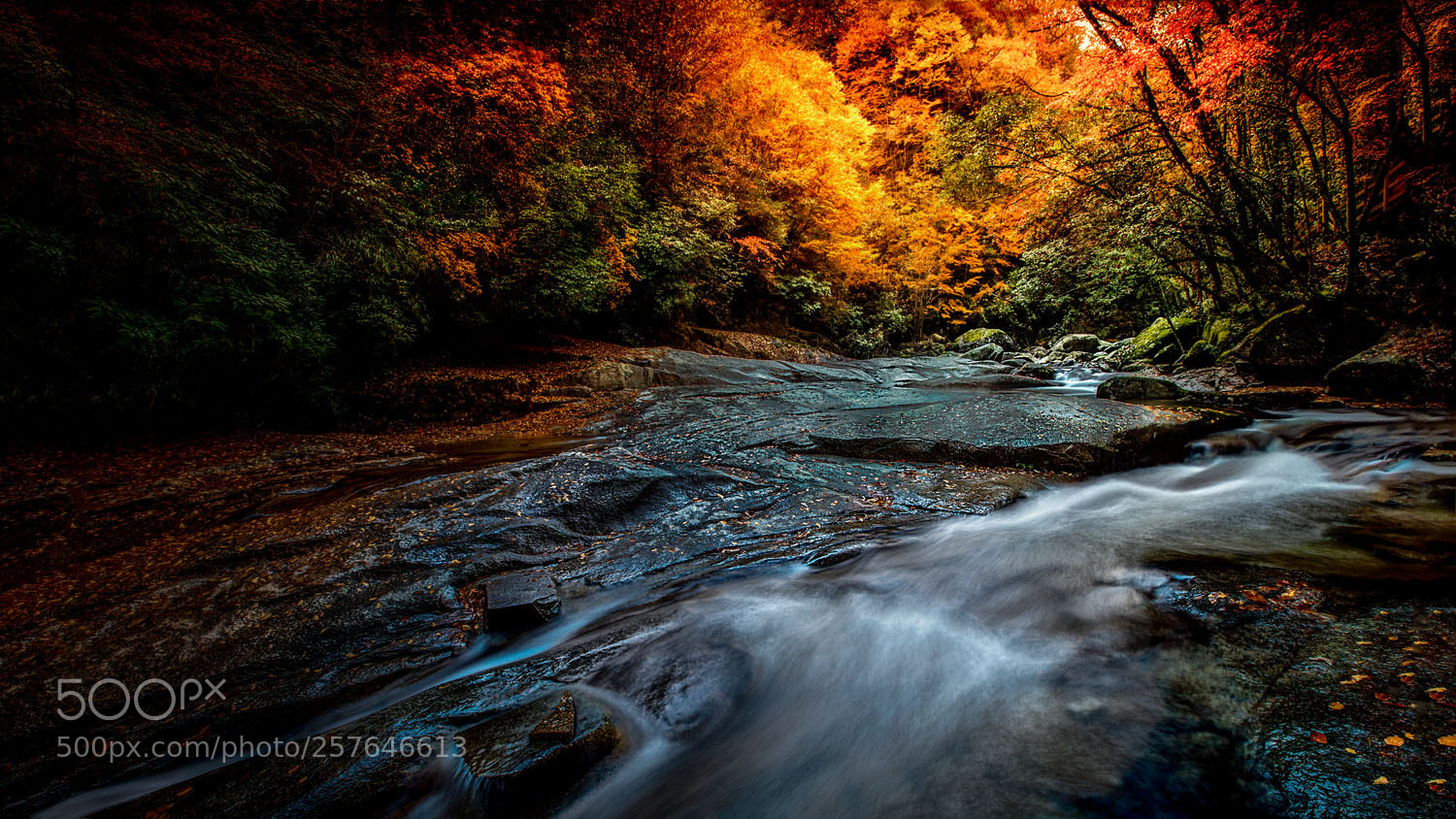 Canon EOS 5D Mark II sample photo. Profound autumn in mt photography