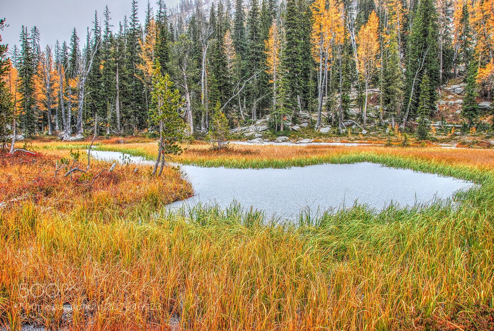 Nikon D40X sample photo. Quite a magical marsh photography