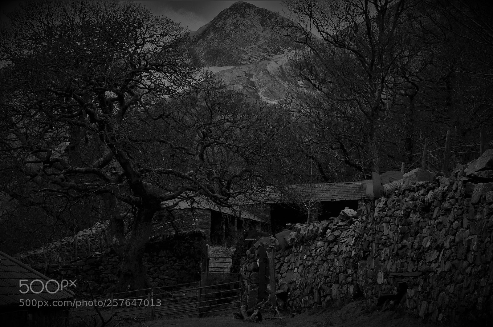 Panasonic Lumix DMC-FZ200 sample photo. Outhouses ii photography