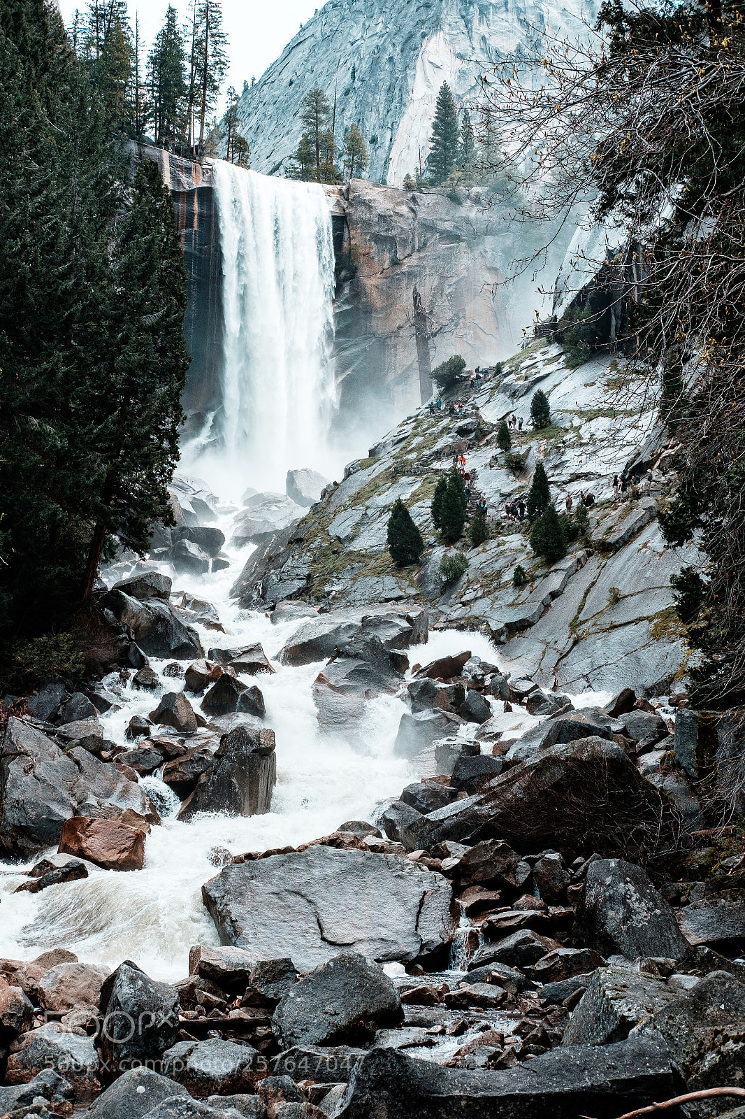 Fujifilm X-T1 sample photo. Along the mist trail photography