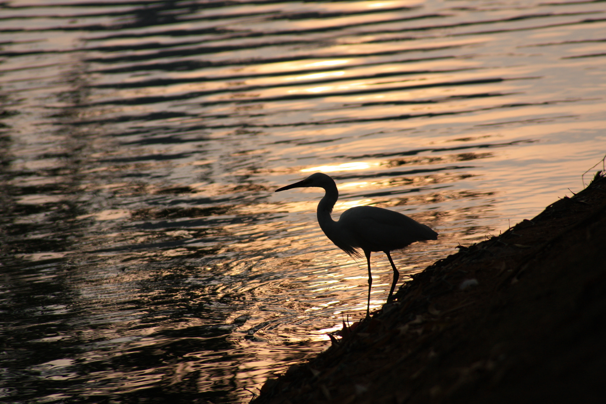 Canon EF 28-200mm F3.5-5.6 USM sample photo. Img photography