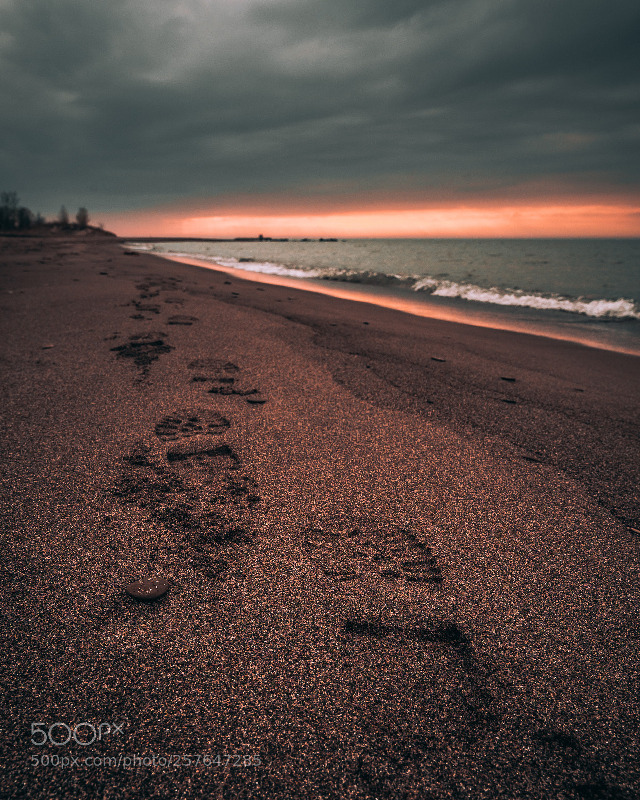Sony a7R II sample photo. Footprints in the sand photography