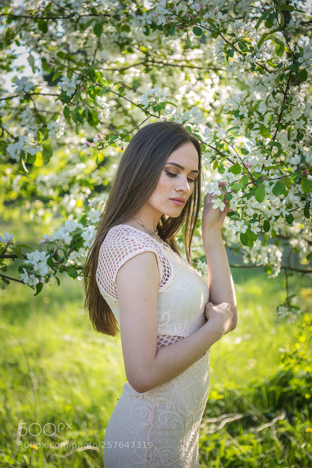 Nikon D610 sample photo. Untitled photography