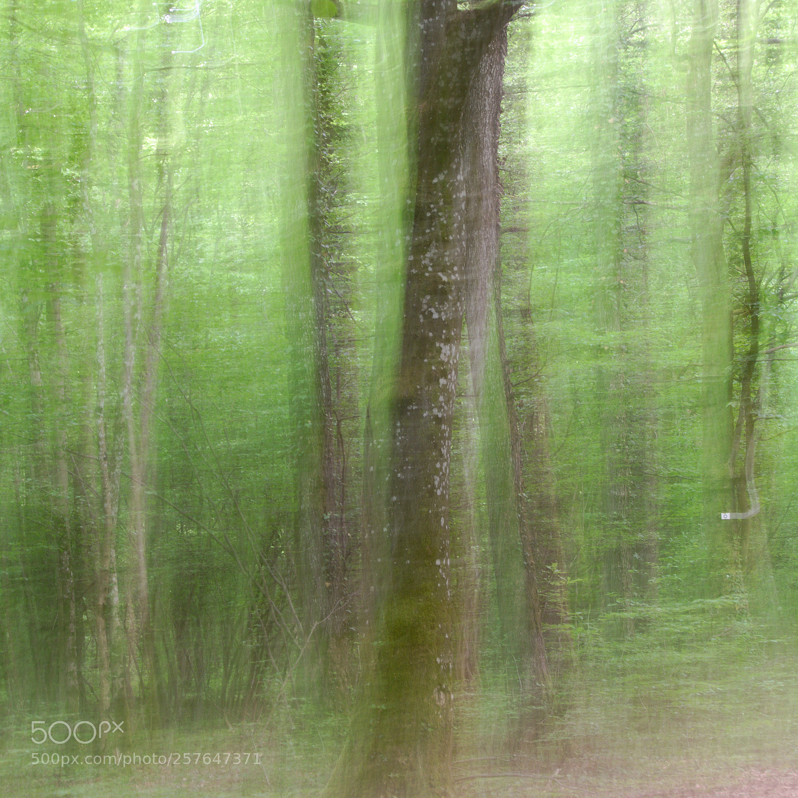 Panasonic Lumix DMC-FZ1000 sample photo. Ents photography