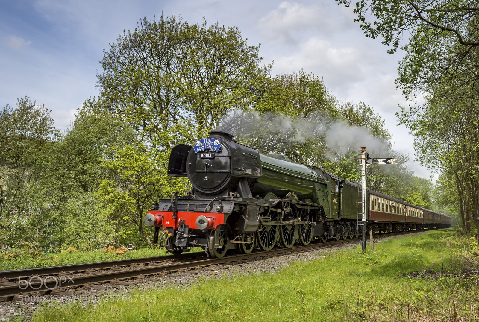 Nikon D7200 sample photo. The flying scotsman runs photography