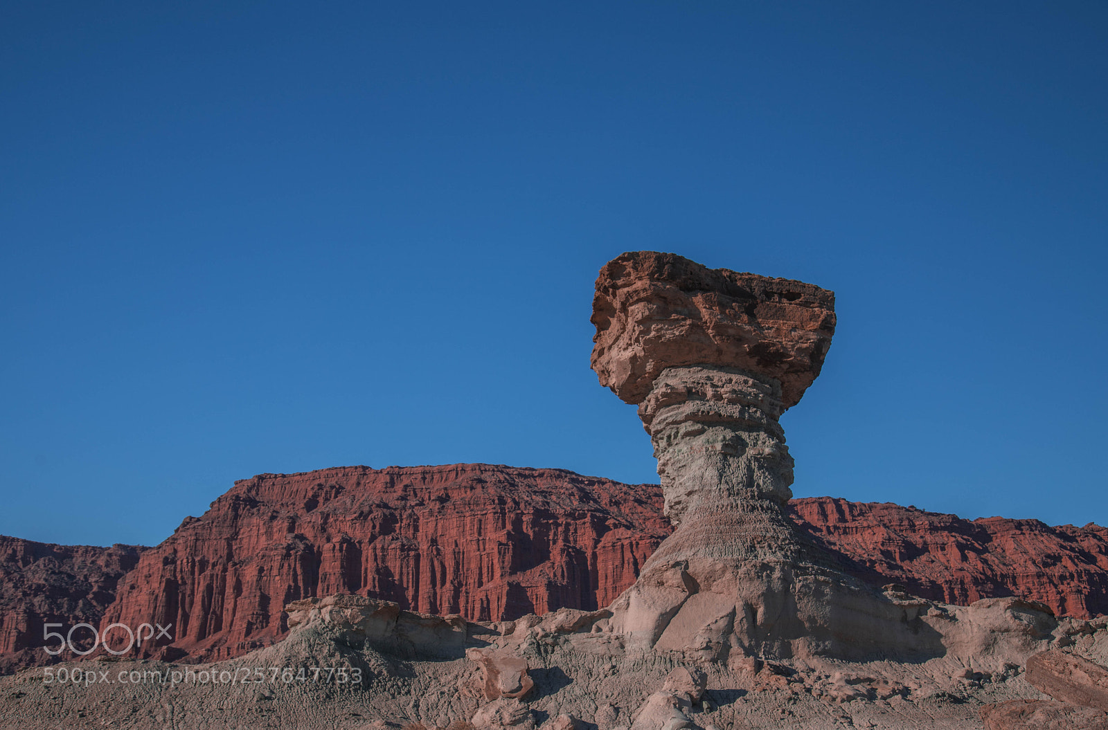 Canon EOS 6D Mark II sample photo. Ancient mushroom photography