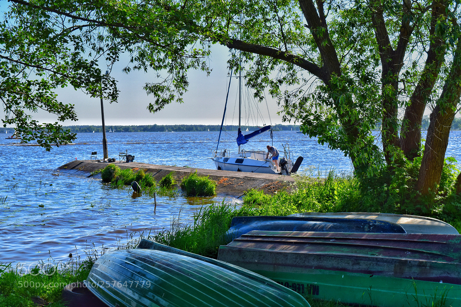 Nikon D5300 sample photo. Warm spring photography