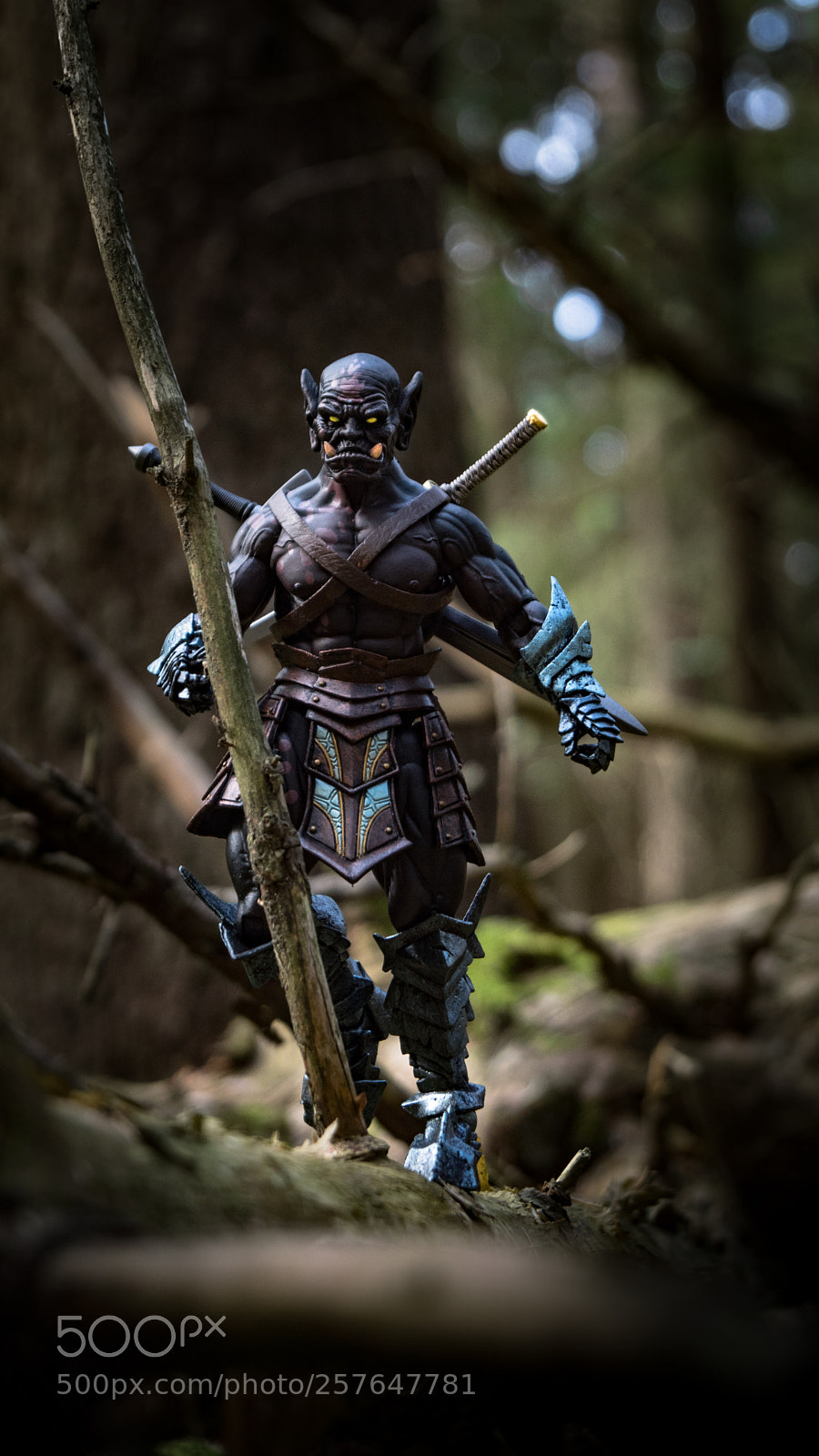 Sony SLT-A68 sample photo. Bounty hunter from gundabad photography