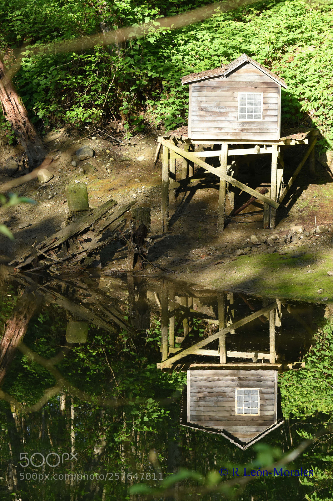 Nikon D7200 sample photo. Maplewood flats conservation area photography