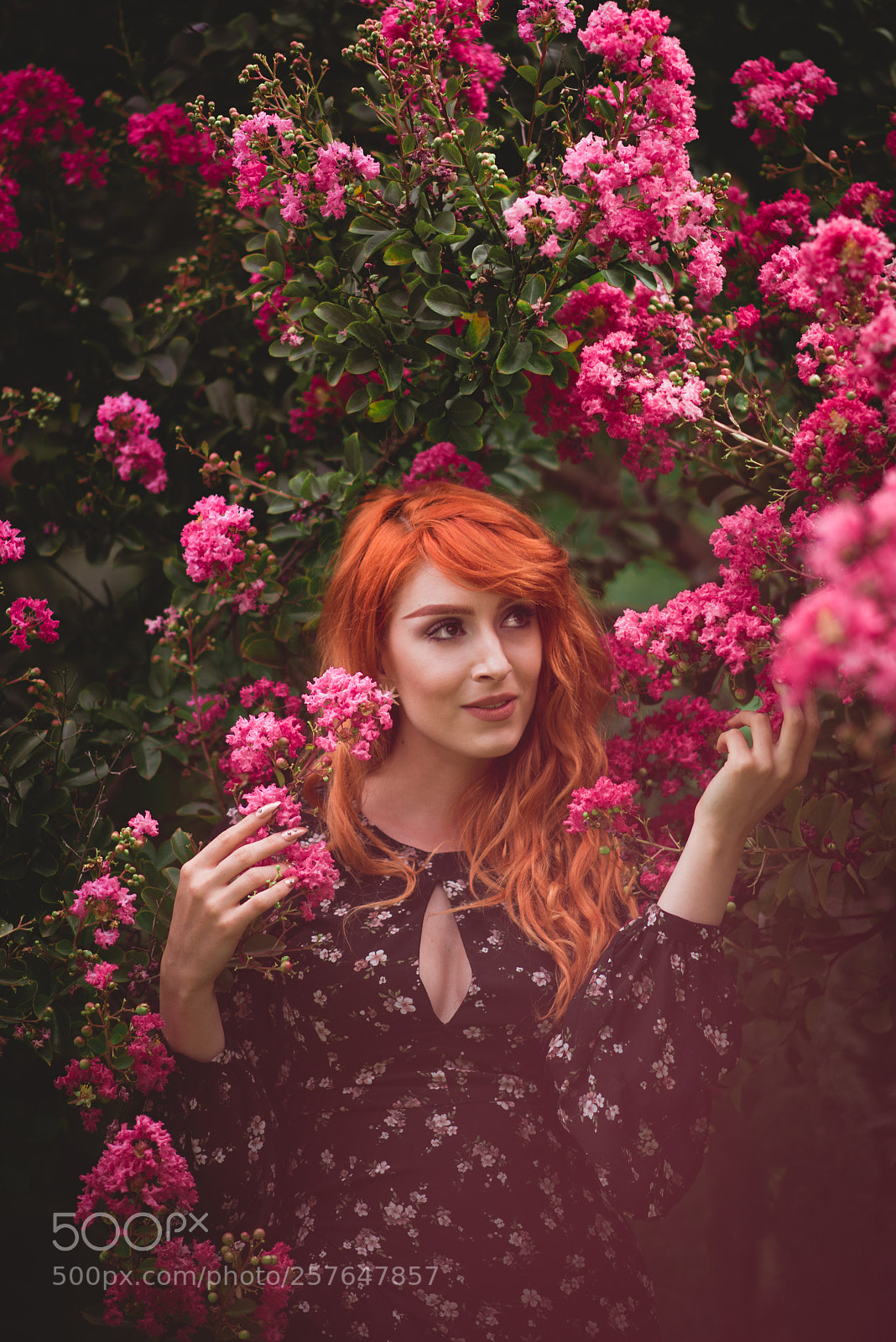 Nikon D750 sample photo. Lost in spring photography