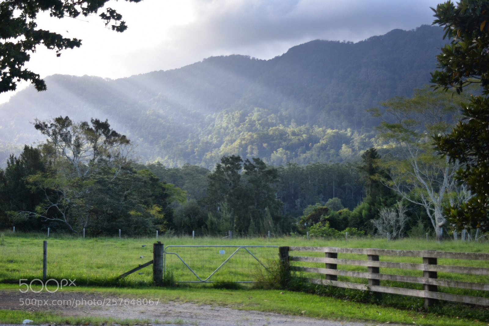 Nikon D3400 sample photo. Heaven’s gate photography