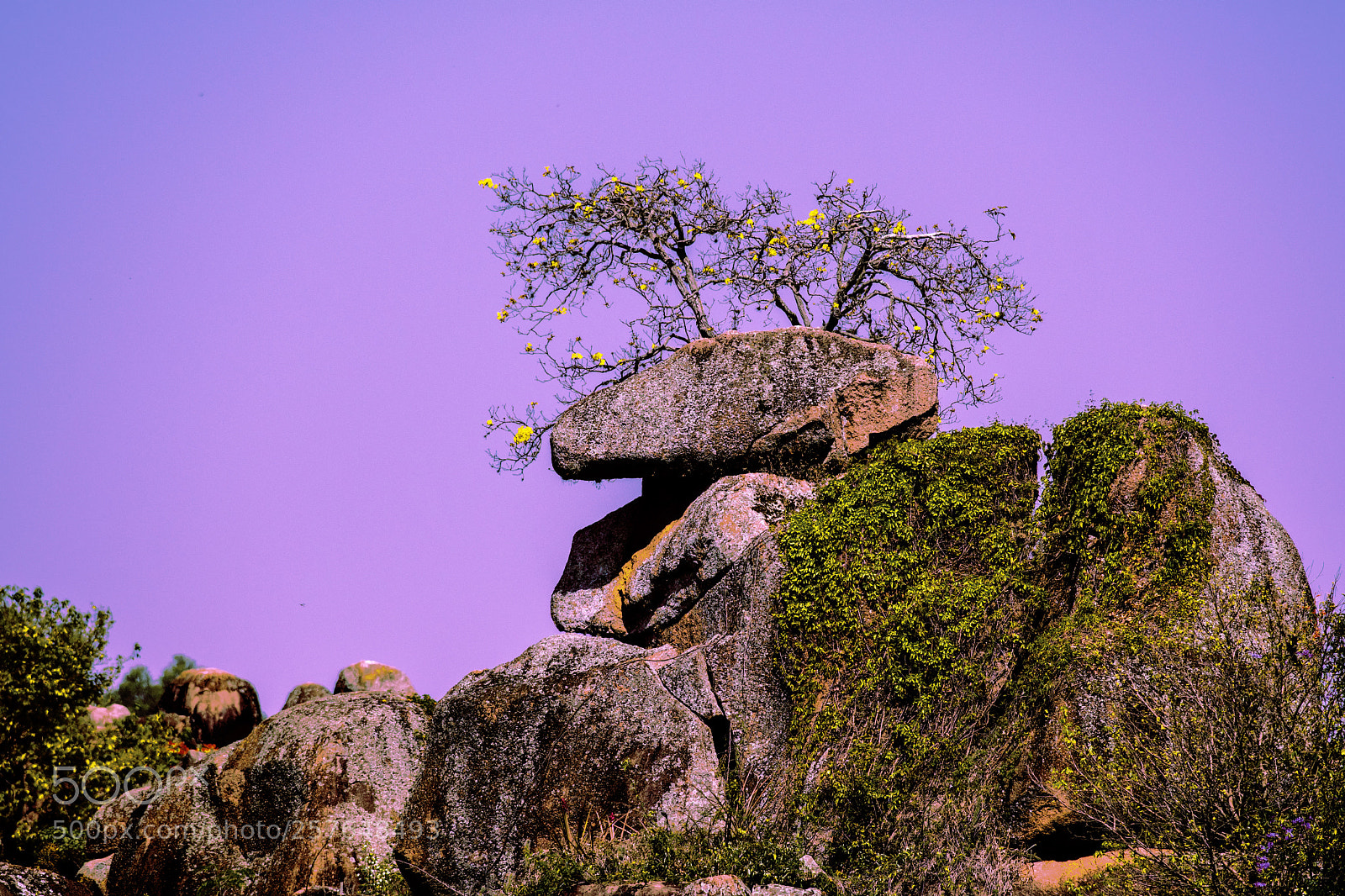 Nikon D500 sample photo. Mountains in salto photography